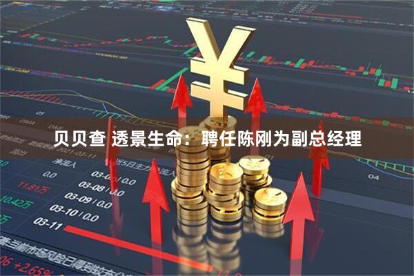 贝贝查 透景生命：聘任陈刚为副总经理